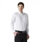 Plain Shirts